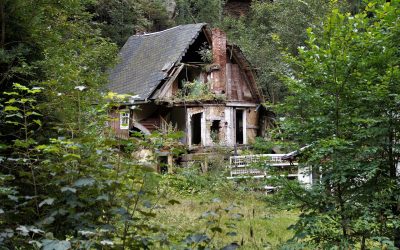 Öt éve nem volt ilyen pusztító nyarunk: mekkora a baj? – Portfolio cikk